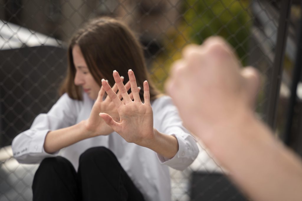 Domestic Violence Allegations and False Reports Defenses and Real Consequences in Washington